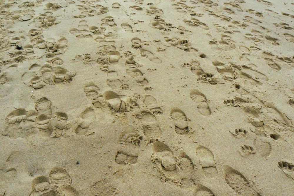 footprint beach